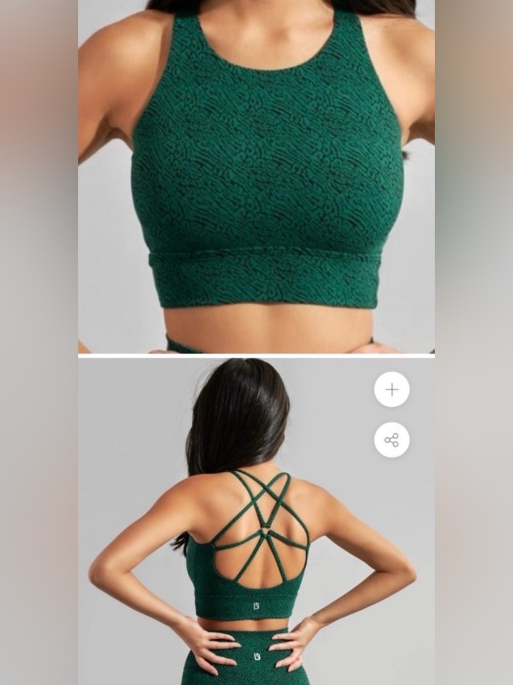 BuffBunny Evolve High Neck Sports Bra